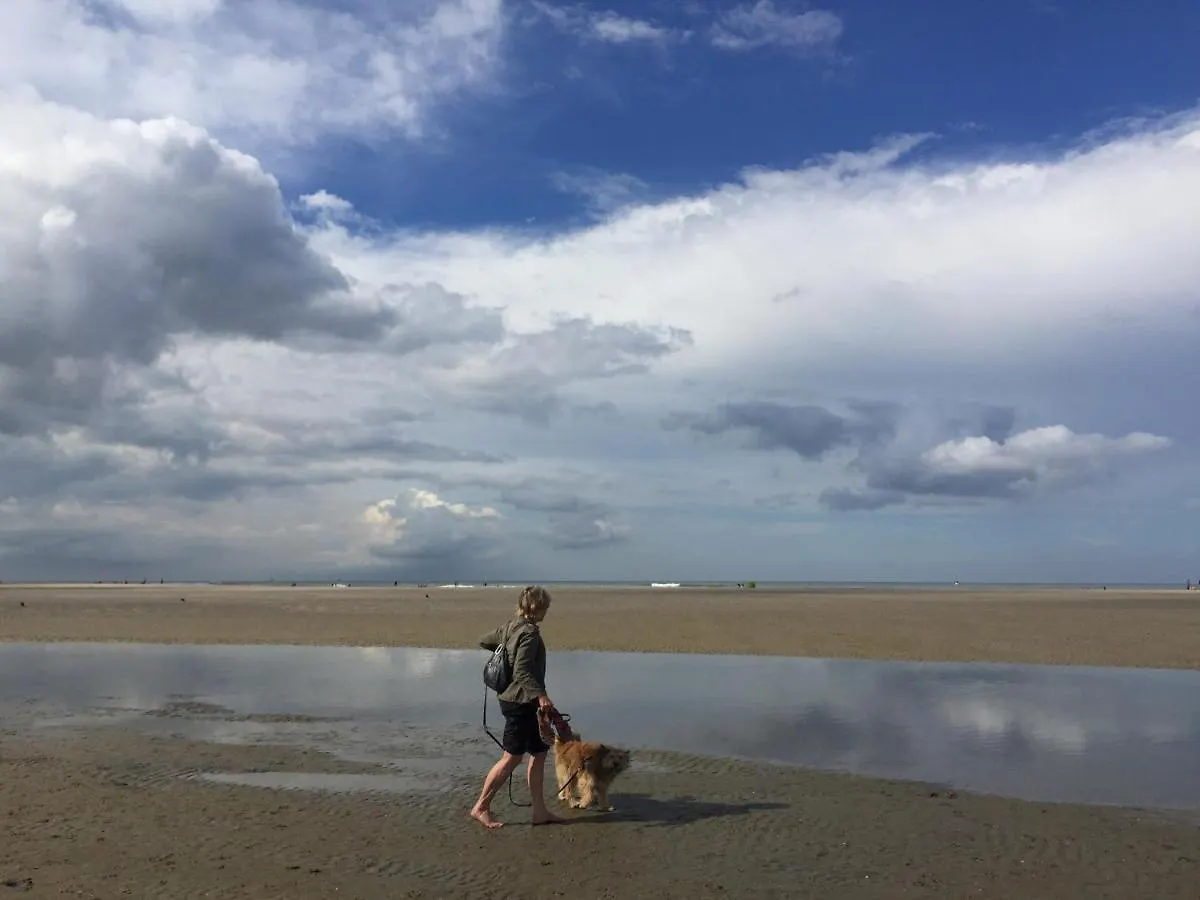 Sunset Beach House Den Haag Ferienhaus